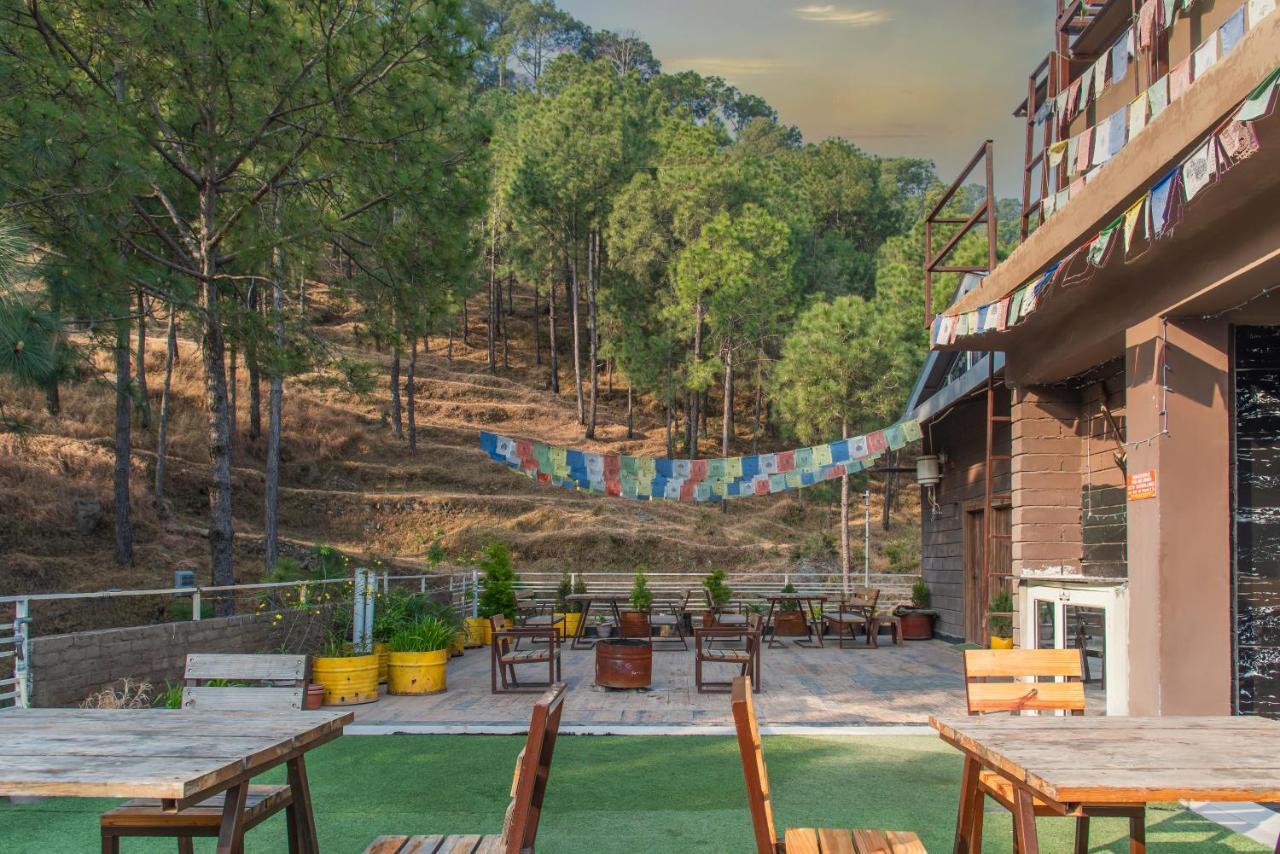 Hillcrest Heights Bed & Breakfast Kasauli Ngoại thất bức ảnh