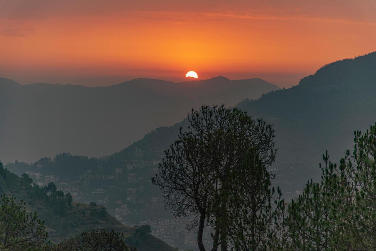 Hillcrest Heights Bed & Breakfast Kasauli Ngoại thất bức ảnh