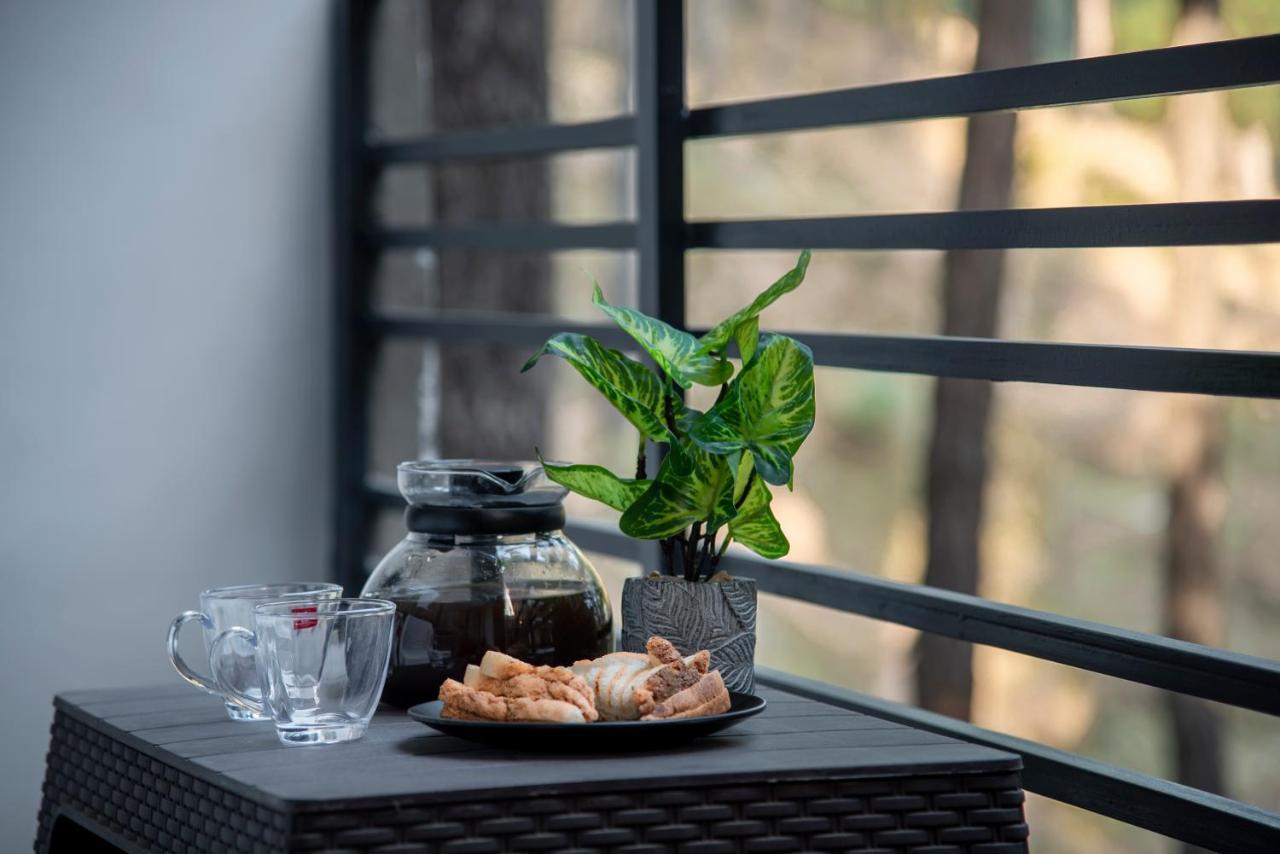 Hillcrest Heights Bed & Breakfast Kasauli Ngoại thất bức ảnh